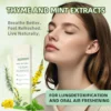 🔥 🔥🔥Final 3 Hours: 60% OFF LOVILDS™ Mullein Relaxation Stick – Soothes Lungs, Detoxifies, Freshens Breath