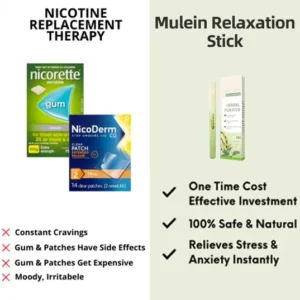 🔥 🔥🔥Final 3 Hours: 60% OFF LOVILDS™ Mullein Relaxation Stick – Soothes Lungs, Detoxifies, Freshens Breath