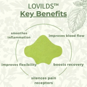 🎄 LOVILDS™ Full-Body Pain Relief Patch – Natural Herbal Formula for Back, Neck, Shoulders & Joints, Fast-Acting Comfort ⚡🎁 – Christmas 60% Off Special