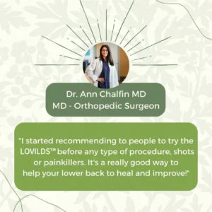 🎄 LOVILDS™ Full-Body Pain Relief Patch – Natural Herbal Formula for Back, Neck, Shoulders & Joints, Fast-Acting Comfort ⚡🎁 – Christmas 60% Off Special