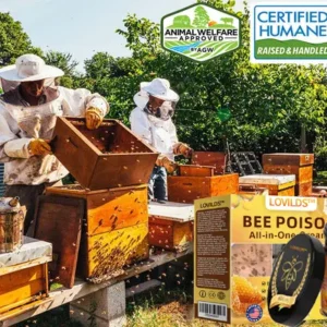 LOVILDS™ Bee Poison All-in-One Cream US Dermatologist Approved