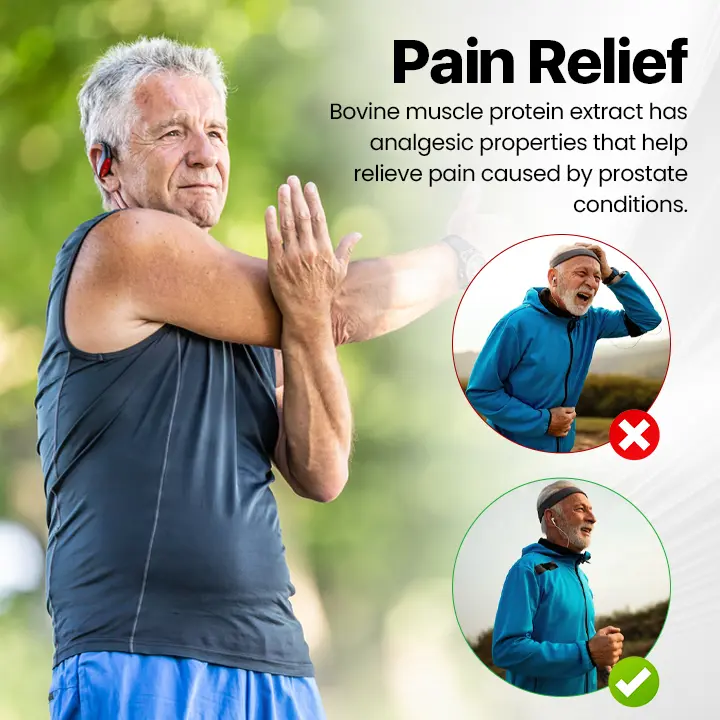 Last Day Discount: 87% OFF 🎇 LOVILDS™ ProstaAir Dual-Function Nasal Inhaler🌟