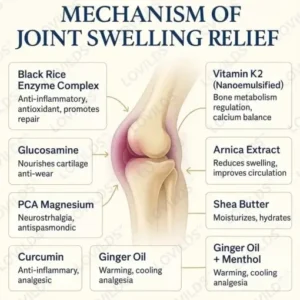 LOVILDS™ Black Rice Pain Healing Bone Cream