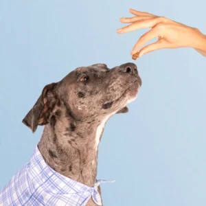 Alternative view of LOVILDS™ Daily Multivitamin