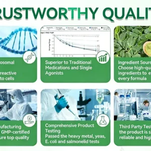 LOVILDS® 10-in-1 Nano Microneedle Patch One Patch a Day · Easy Metabolic Support