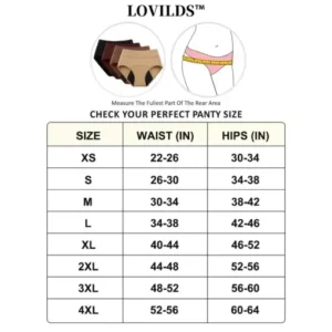 LOVILDS™ Leak-Proof Confidence Briefs – 4-Layer Absorbency for All-Day Dryness
