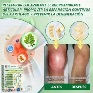 𝑫𝑶𝑻𝑨𝑳𝑬® Parche de Microagujas Nano Avanzado 10 en 1 con Moringa Berberina y NAD+