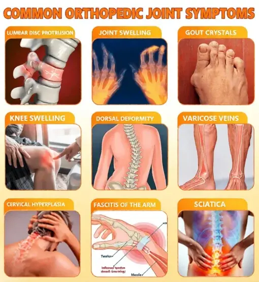 LOVILDS™ Bee Poison Pain-Relief Bone Healing Cream (Specially for older adults)