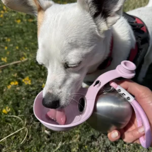 LOVILDS™ Dog Water Bottle with Bowl