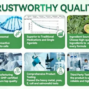 💥Last 3 Hours: LOVILDS™ Moringa & Berberine × NAD+ 10-in-1 Nano-Microneedle Patches – 70% Off 🗽