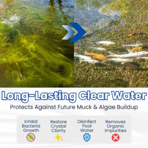 ✨ Du Vert au Clair en une Nuit ! | ⏱️ Cristallin en 24 Heures ! | LOVILDS® Aqua-Guardian Formule Pro