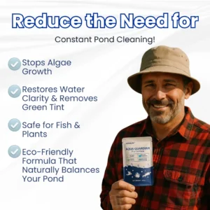 ✨ Du Vert au Clair en une Nuit ! | ⏱️ Cristallin en 24 Heures ! | LOVILDS® Aqua-Guardian Formule Pro