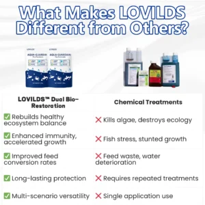 ✨ Du Vert au Clair en une Nuit ! | ⏱️ Cristallin en 24 Heures ! | LOVILDS® Aqua-Guardian Formule Pro