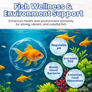 ✨ Du Vert au Clair en une Nuit ! | ⏱️ Cristallin en 24 Heures ! | LOVILDS® Aqua-Guardian Formule Pro