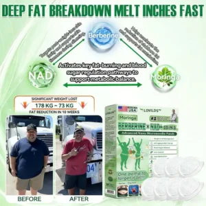 LOVILDS™ Moringa · Berberine × NAD+ 𝟏𝟎-𝐢𝐧-𝟏 𝐀𝐝𝐯𝐚𝐧𝐜𝐞𝐝 𝐍𝐚𝐧𝐨 𝐌𝐢𝐜𝐫𝐨𝐧𝐞𝐞𝐝𝐥𝐞 𝐏𝐚𝐭𝐜𝐡 — 𝐎𝐧𝐜𝐞 𝐃𝐚𝐢𝐥𝐲, 𝐕𝐢𝐬𝐢𝐛𝐥𝐞 𝐑𝐞𝐬𝐮𝐥𝐭𝐬 𝐢𝐧 𝟕 𝐃𝐚𝐲𝐬