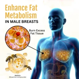 LOVILDS® ThermoFirm  Bee Poison Gynecomastia Oil