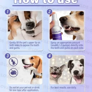 🐾LOVILDS® Pet Oral Spray ✅ Freshen Breath, Remove Tartar & Promote gum regeneration, stabilize teeth 🦷-$AC