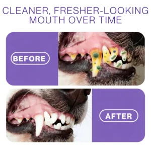 🐾LOVILDS® Pet Oral Spray ✅ Freshen Breath, Remove Tartar & Promote gum regeneration, stabilize teeth 🦷-$AC