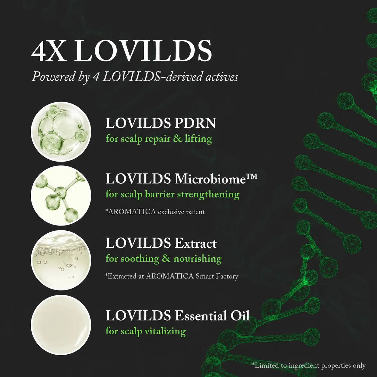🌿 LOVILDS PDRN Scalp Serum | Root-Focused Care for Fuller, Healthier-Looking Hair ✨