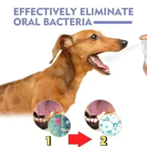 LOVILDS™ NO BRUSHING oral care spray for dogs cats