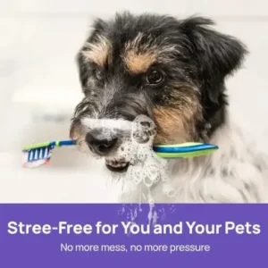 LOVILDS™ NO BRUSHING oral care spray for dogs cats